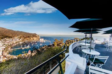 View from Mt Ada in Avalon.