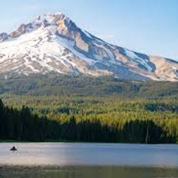 virtual counseling, therapy, individual, couples, oregon