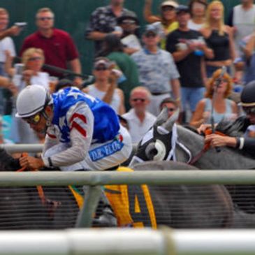 hawkesbury races, Rosehill races, Randwick races trasnport group bus hire