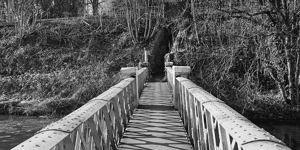 Trent River foot bridge