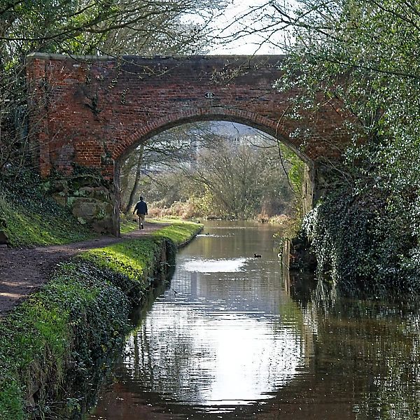 Bridge 60, Trent and Mersey Canal