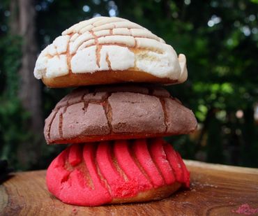 Tany's Concha-(Traditional).  A light and airy sweetbread crowned with a sugar shell.