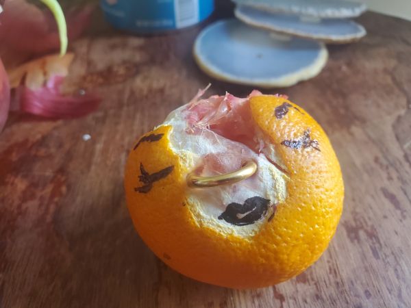 A torn open blood orange with a septum piercing in and sharpie drawn on brows, lashes, and lips.