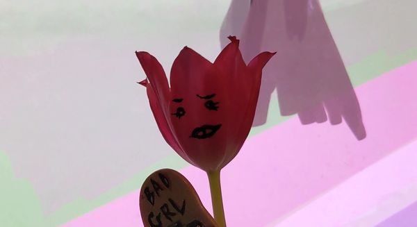 A pink tulip is holding a painted 'bad grl' tech deck against an illustrated pink park background.