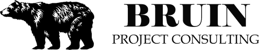 Bruin Project Consultancy Ltd