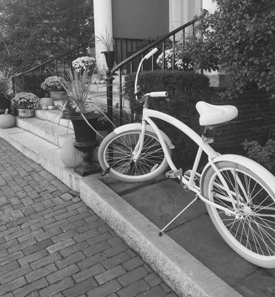 Black and white bicycle by steps literary