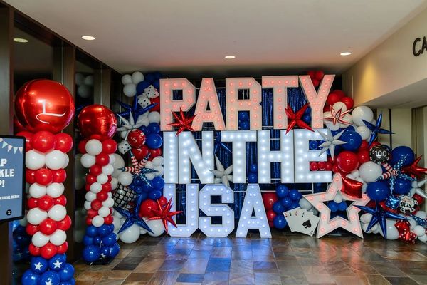 party in the usa