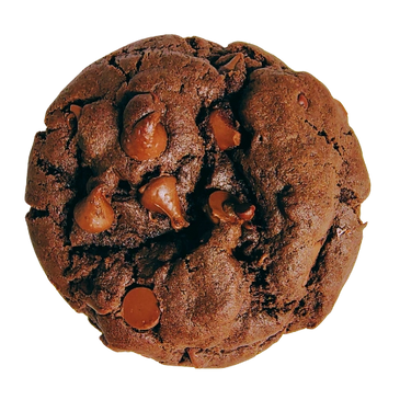 A rich chocolate cookie with chocolate chips.
