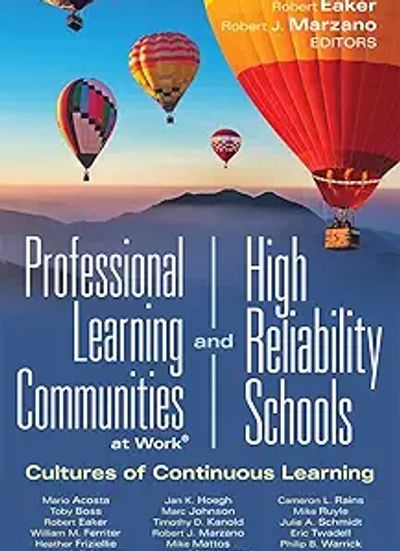 Book cover featuring colorful hot air balloons against a sunset sky.