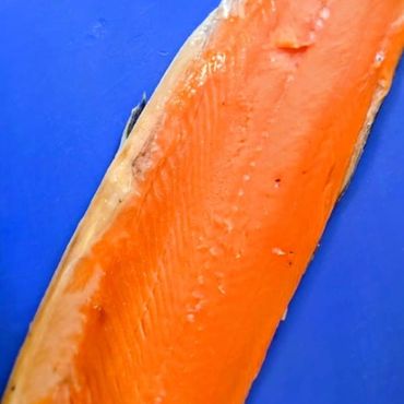 Close-up of a fresh salmon fillet on a blue surface.