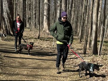 A branch of the Run Group, Hikes are scheduled monthly by hike leads. Volunteers load up a group of