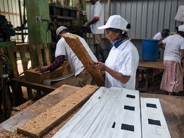 Technician checking coco peat quality at manufacturing facility