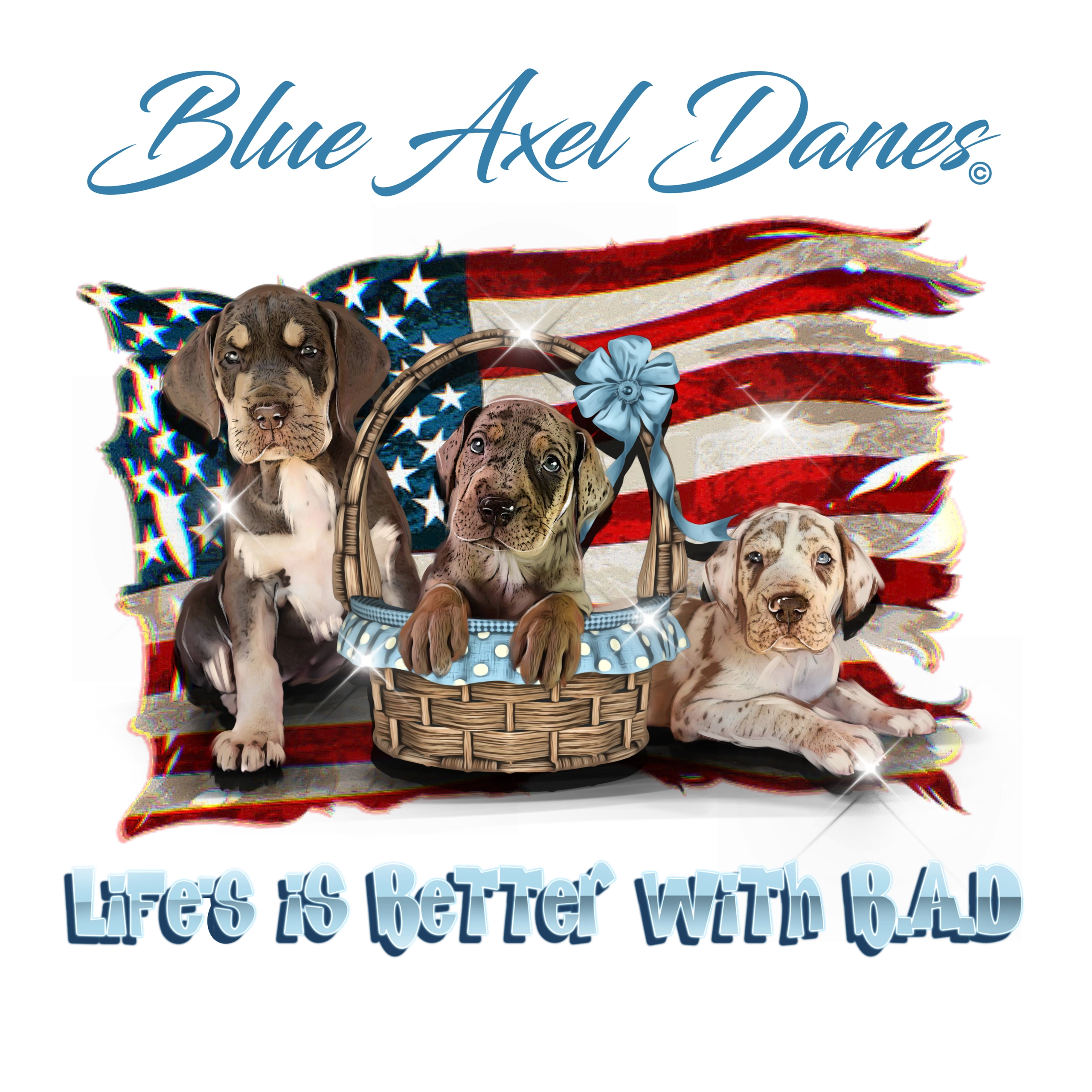 American Flag puppies
Great Danes
Kentucky puppies
Blue great danes
Merle puppies
Great dane merle