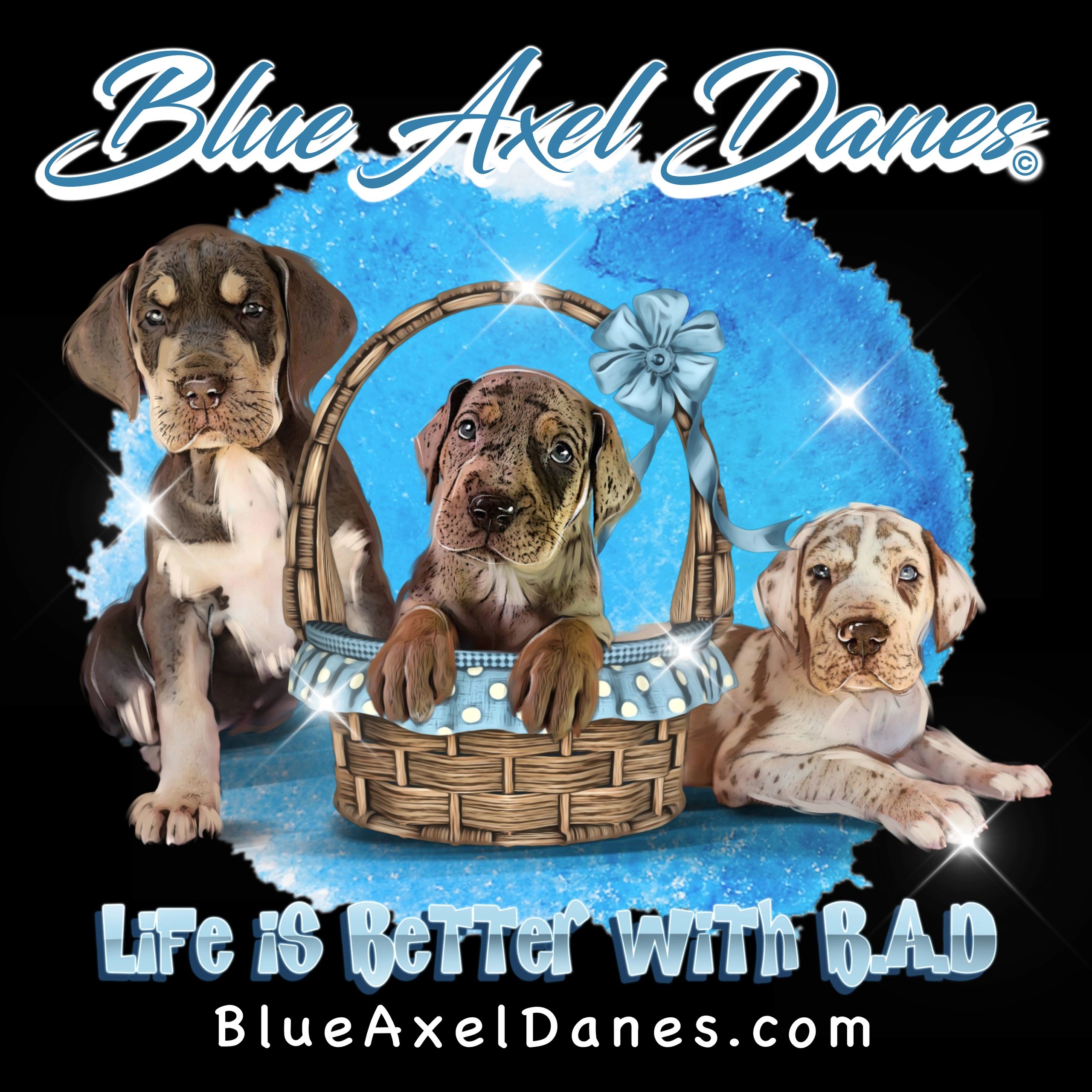 Blue Axel Danes logo
Blue great dane
Puppies
Blue puppies
Harlequin pup
Kentucky great dane pup
