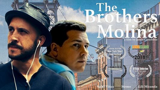A gambling degenerate in serious debt must convince his shut-in brother to sell the family's Brookly