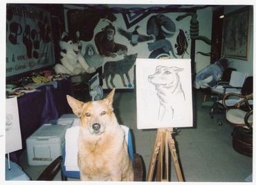 Dog posing next to its portrait drawing indoors with stuffed animals in the background.