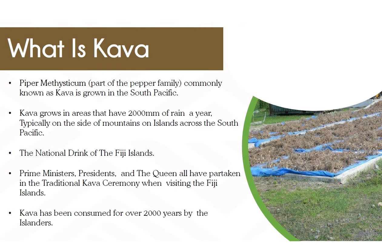 What is Kava