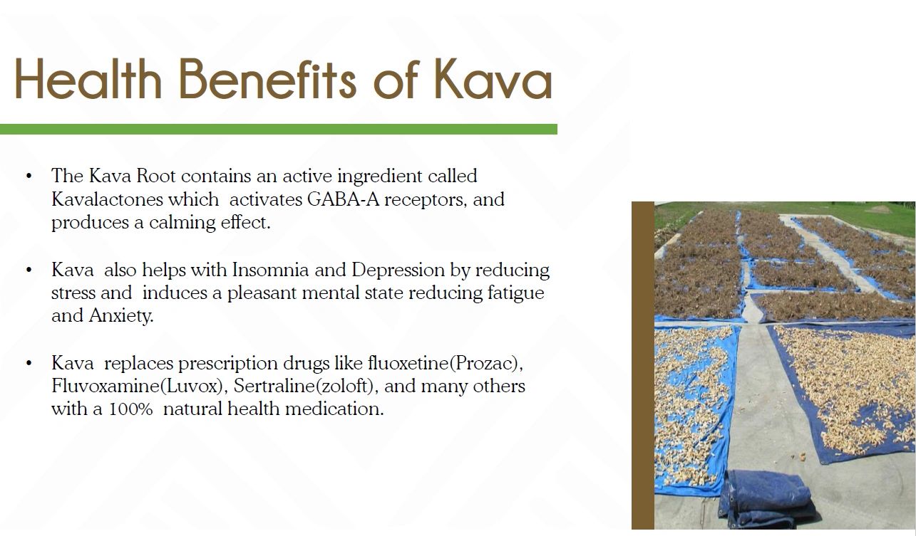 Health Benefits of Kava 