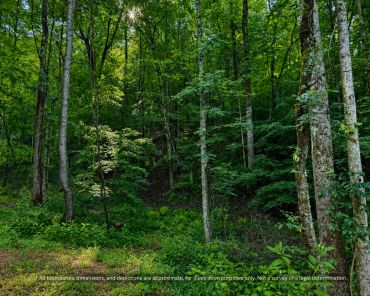 Mature trees in a quiet wooded setting on acreage near Taylorsville NC