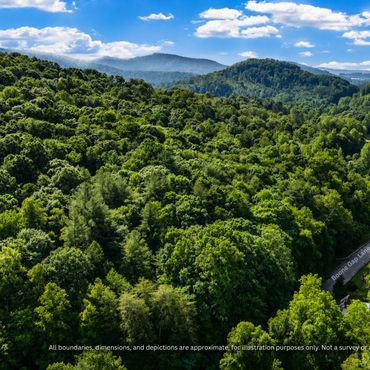 Wooded land along a paved road, Alexander County NC acreage for sale