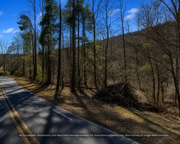 Road frontage with pines and hardwoods on Boone Gap Lane near Taylorsville NC
