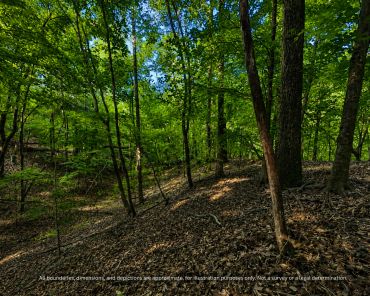 Open hardwood woods with room for a homesite on Alexander County NC land