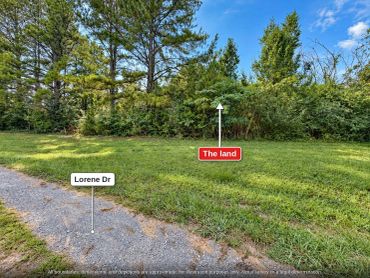 Wooded side of Lorene Dr where the land sits, Stanly County NC