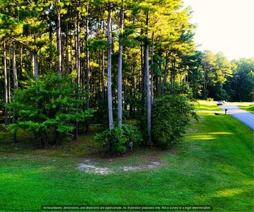 Mature pines and open grass on a wooded lot in Minnesott Beach, Pamlico County NC
