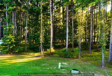 Flat, wooded lot with a grassy opening in gated Arlington Place, Pamlico County NC