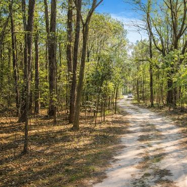 Nuffield Rd, the dirt road into this wooded Cumberland County NC homesite