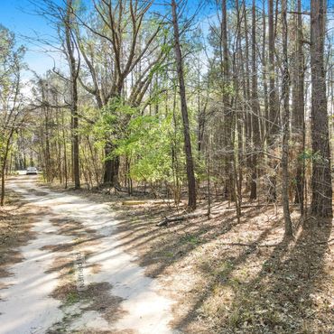 Level wooded land near Fayetteville NC for a homesite or hobby farm