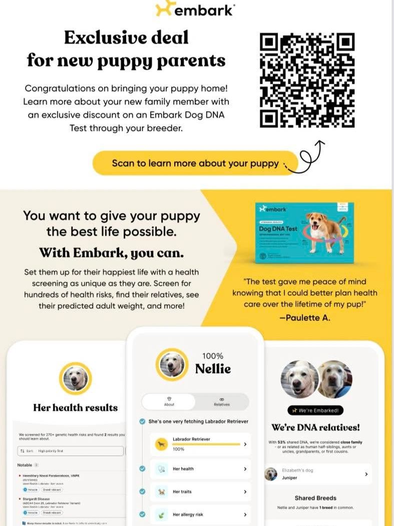 I’m now part of the Embark Breeder Affiliate Program. Scan for discounts on test which also gives me