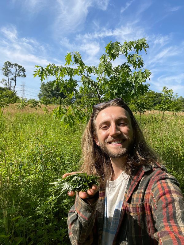 Smiling man holding fresh green leaves outdoors.