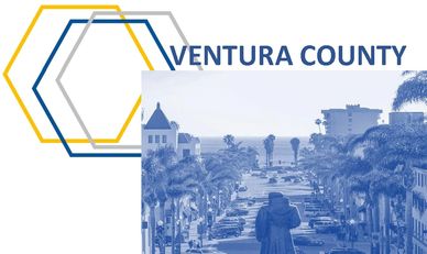 Pest Control Ventura County-Pure 4U Pest Management.