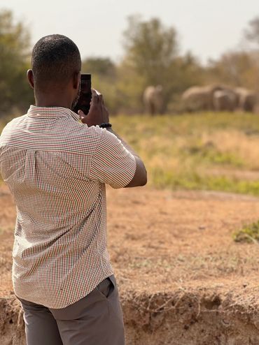 Elephant sightings in Mole National Park in Ghana.