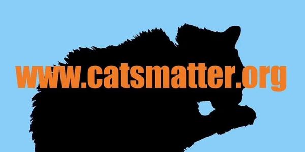 CatsMatter.org