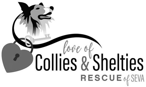 Nancy Mello, Animal Communicator works with Love of Collies and Shelties Rescue of SE VA.