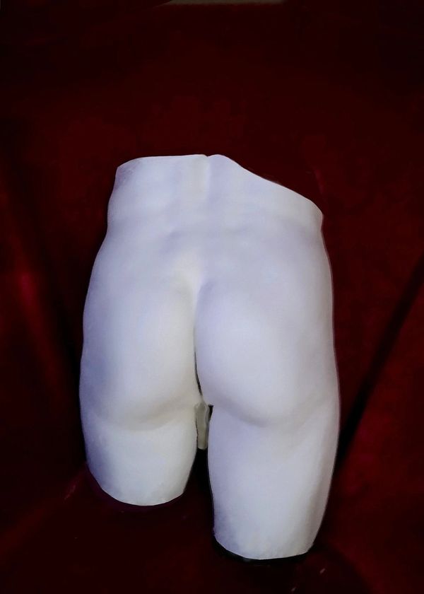 plaster life cast statue, back of male pelvis