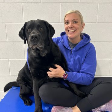 Liz: Top Dog Owner