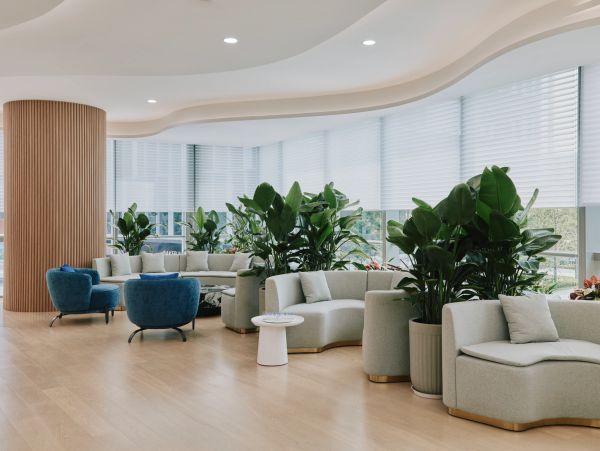 Modern lounge area with curved sofas, blue chairs, and large indoor plants near windows.