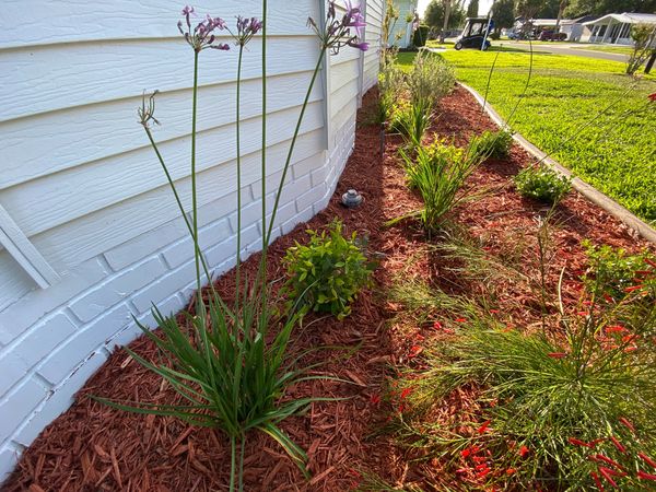 After: Landscape Installation