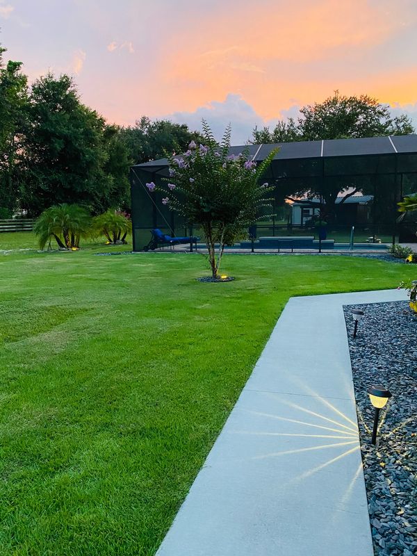 Completed landscape installation after pool build.