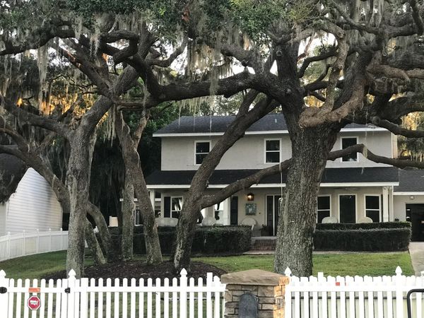 After: Canopy reduction and moss removal