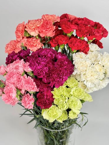 CARNATIONS