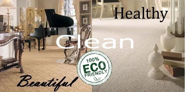 professional carpet cleaning in san rafael,
steam carpet cleaning in san rafael
 carpet cleaning in novato
Professional carpet cleaning in Novato 