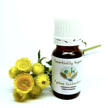 Helichrysum Foetidum Essential Oil. Commonly known as Yellow Everlasting.