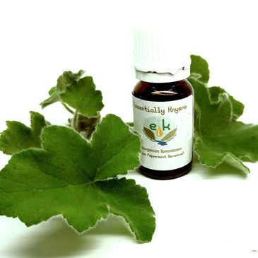 Pelargonium Tomentosum (Cape Peppermint) Essential Oil.