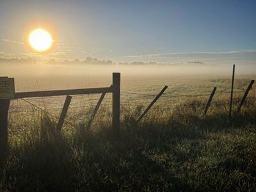 Frosty, foggy sunrise with a barbed wire fence