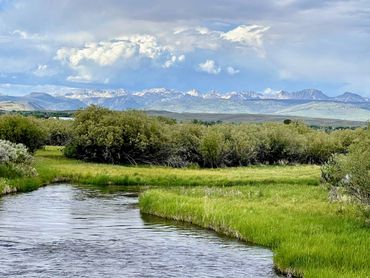 New Fork River with green grass, and the Wind River Mountain Range in the background