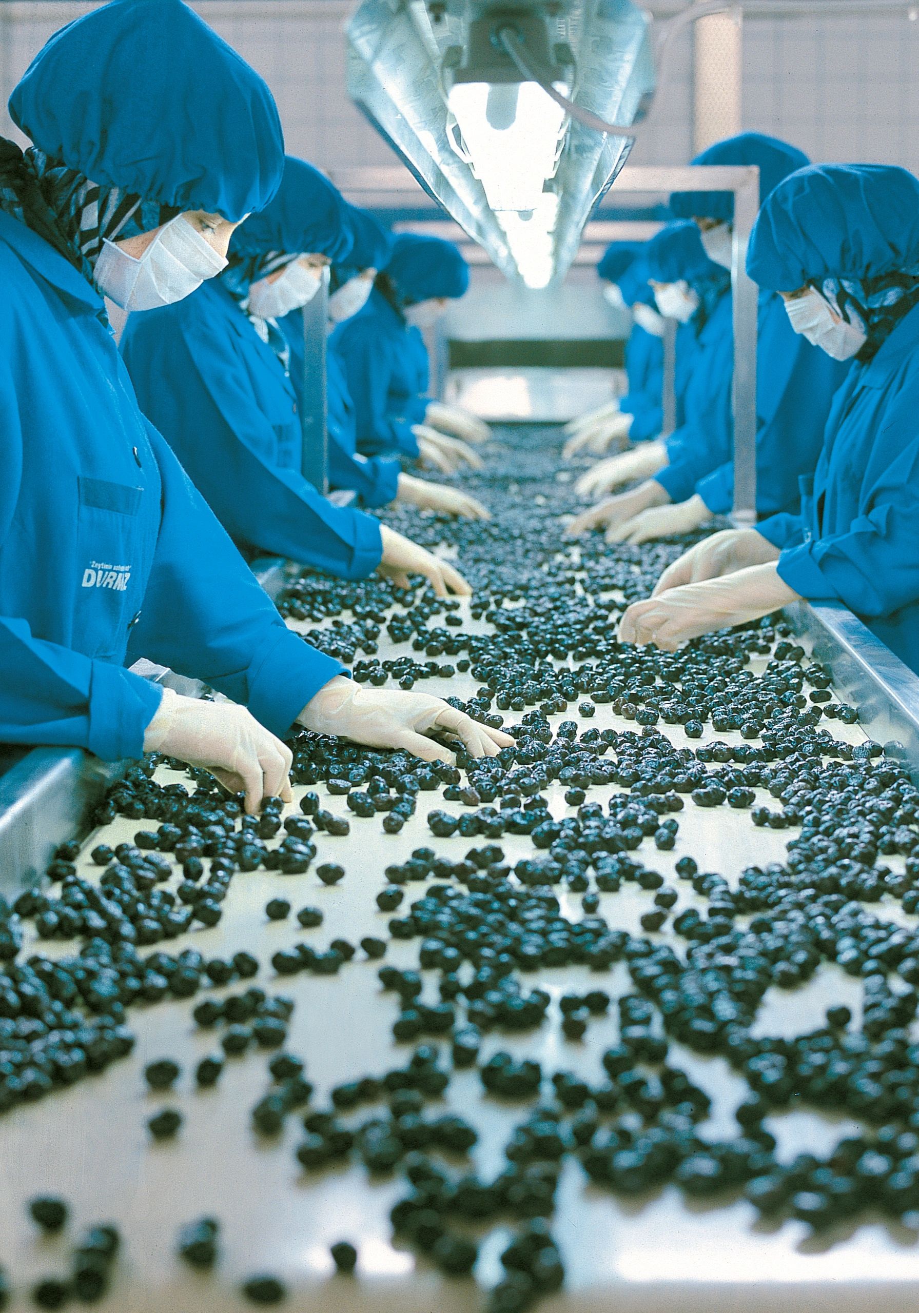 bir fabrikada zeytin paketleyen işçiler